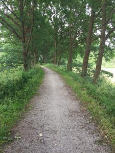 Ringdijk