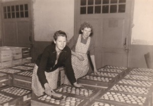Bokhoven, dochters op de veiling PvA16